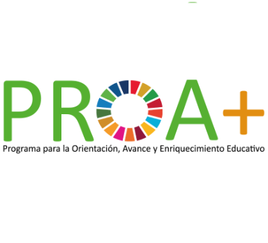 PROA+: el modelo español que Argentina necesita para salvar su educación en progresiva vulnerabilidad